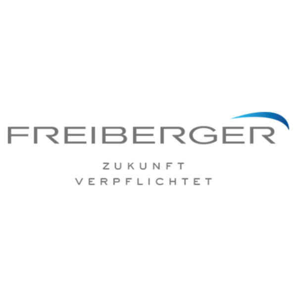 Die Freiberger-Holding SE vereint verschiedene Teile der Freiberger Unternehmensgruppe unter einem Dach. Das sind die Medical Park Klinikgruppe, die TECTUM Liegenschaften, die EfA-Betriebe mit Hotellerie, Gastronomie und dem Museum EFA Mobile Zeiten. In der Freiberger-Holding laufen alle Fäden aus diesen Unternehmensteilen zusammen, die operativ aber eigenständig agieren und jeweils eigene Verwaltungsstrukturen besitzen.